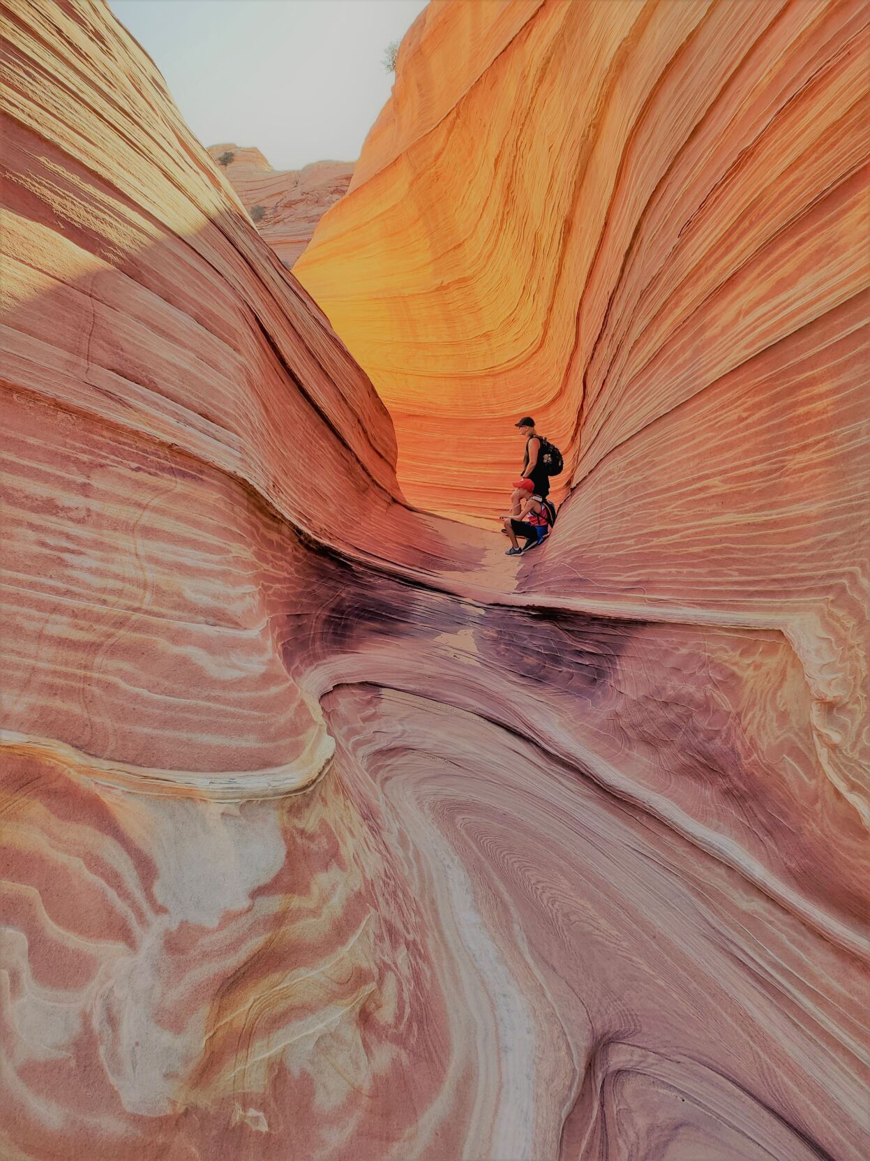 The Wave